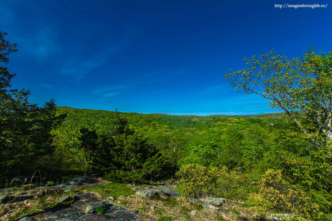 white trail view